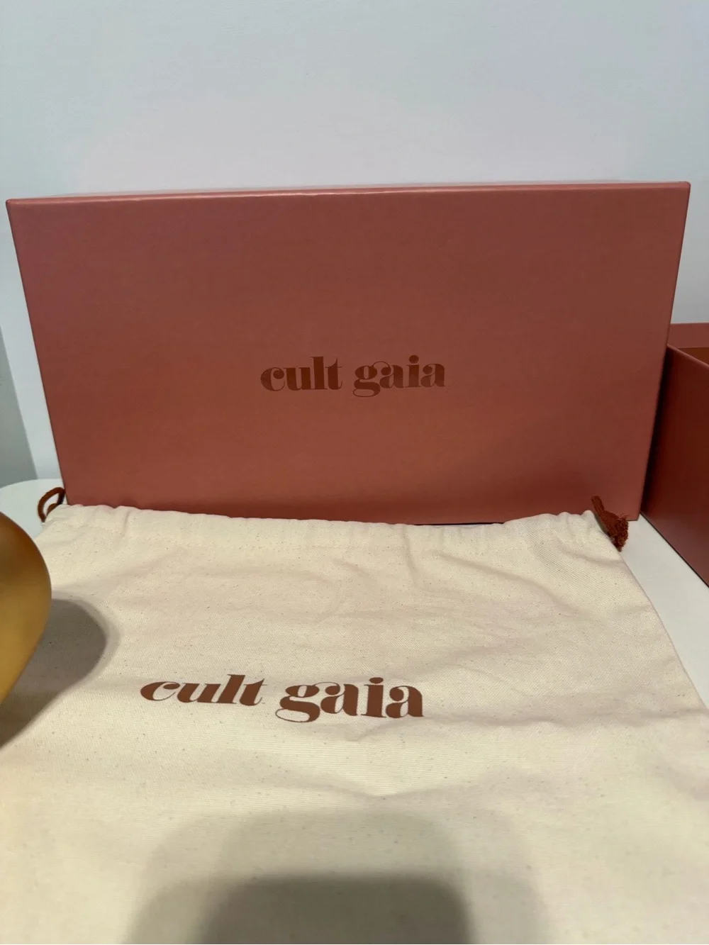 Cult Gaia The Caldera Clutch in Matte Brass